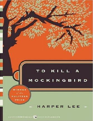 To Kill a Mocking Bird ( PDFDrive ).pdf